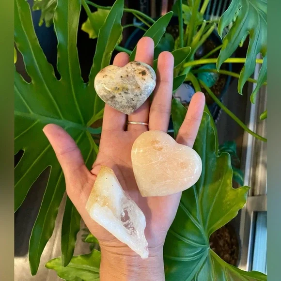 The Gift of Happiness - Picture 5 of 8